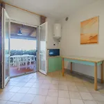Nisportino Nisporto
