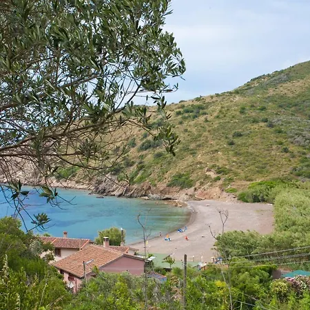 Nisportino